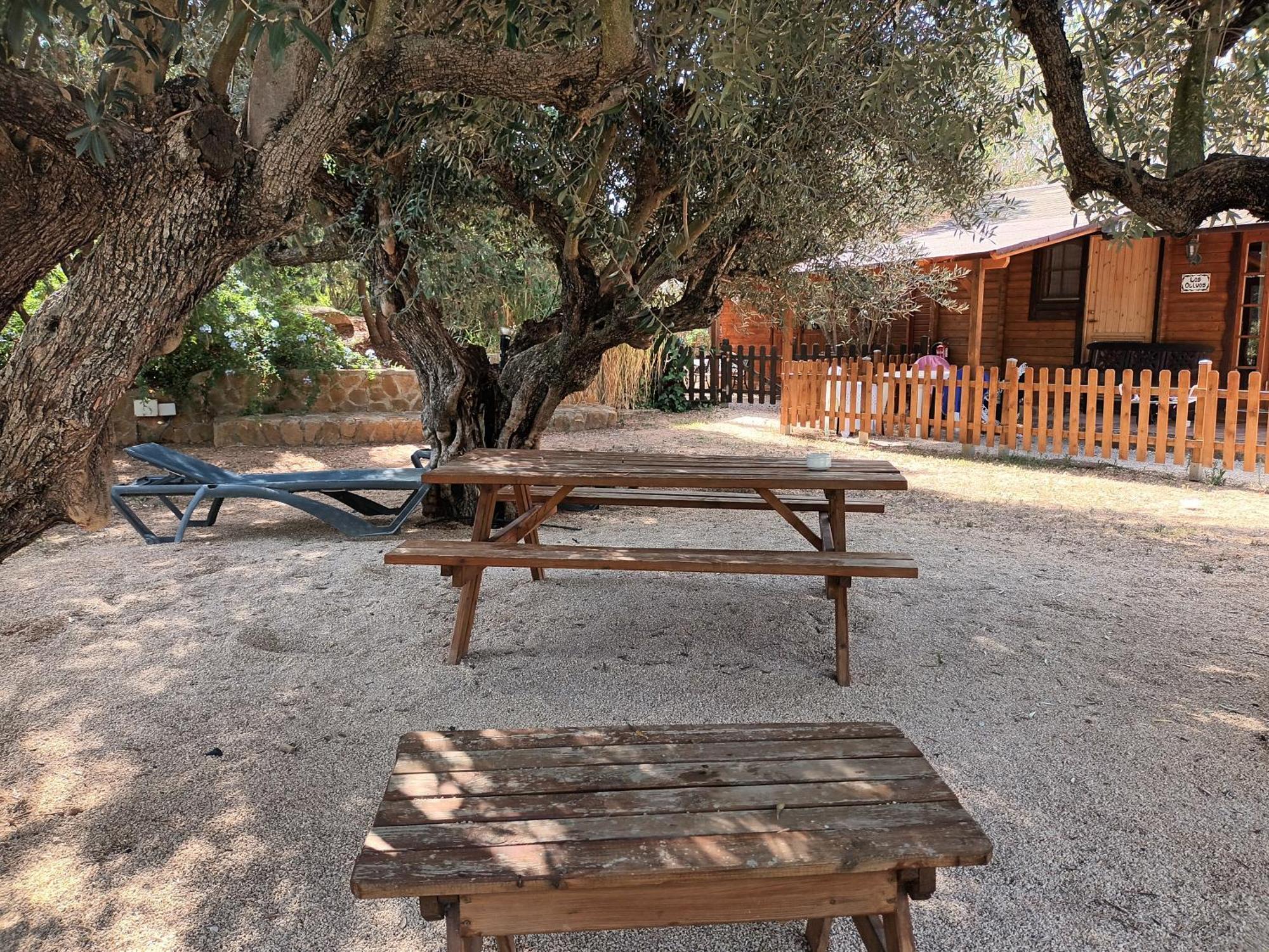 Entre Viejos Olivos Villa Benicolet Eksteriør bilde