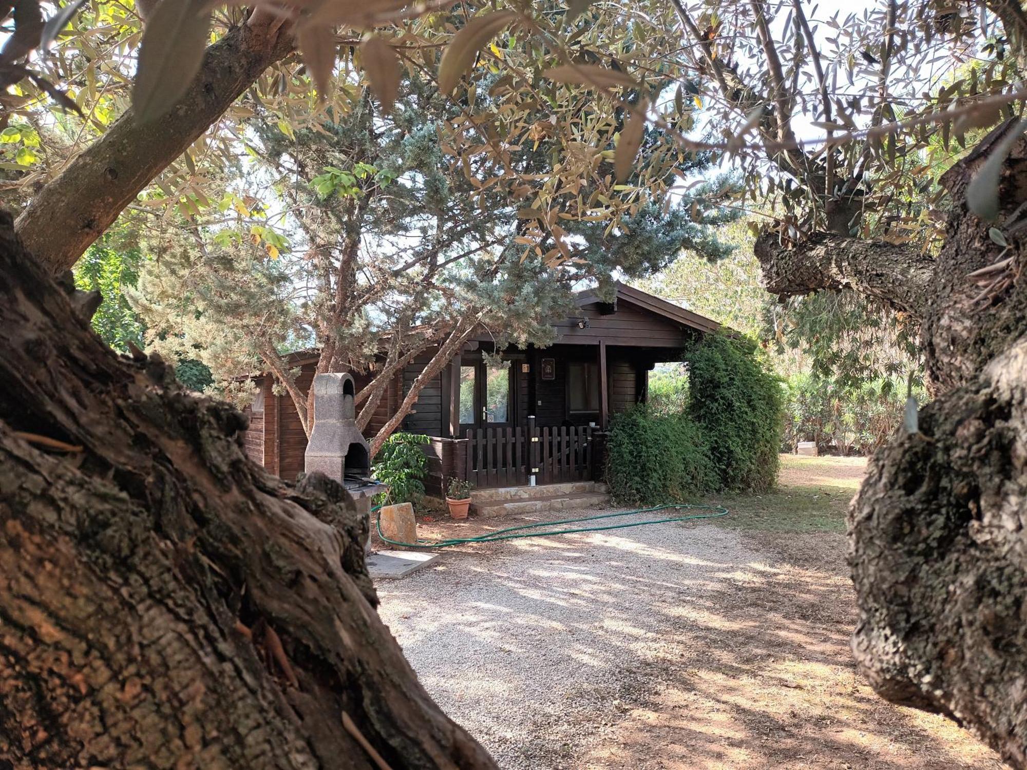 Entre Viejos Olivos Villa Benicolet Eksteriør bilde