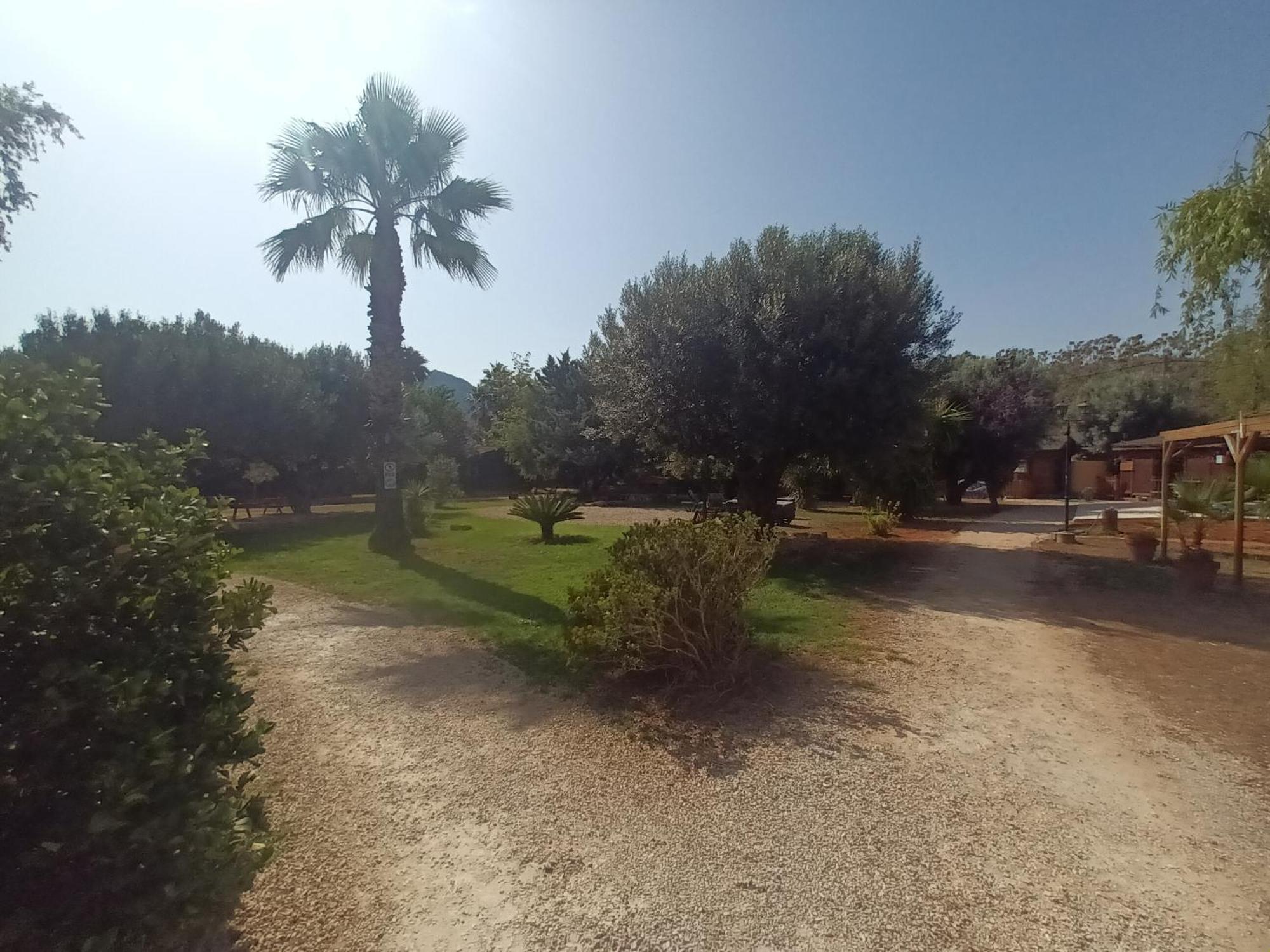 Entre Viejos Olivos Villa Benicolet Eksteriør bilde